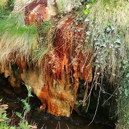 La Roche Pérégrine * Châtel-Guyon