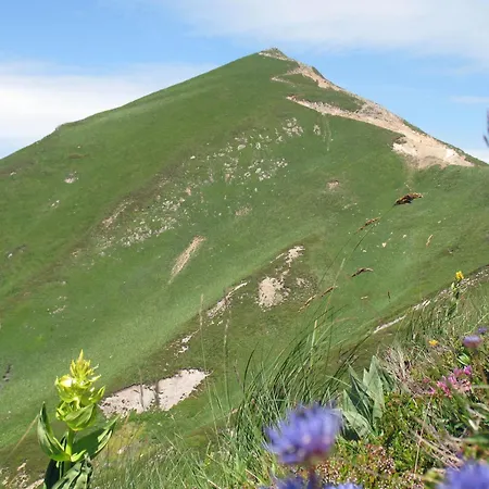 La Roche Pérégrine * Châtel-Guyon