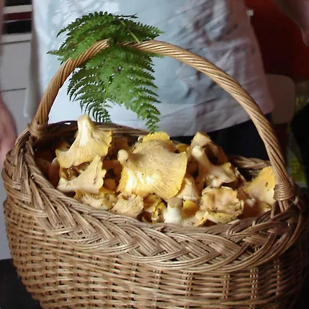 Hébergement de vacances La Roche Pérégrine